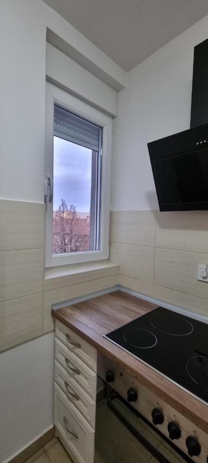 Grove II Apartment = Strict City Centre Novi Sad Eksteriør bilde
